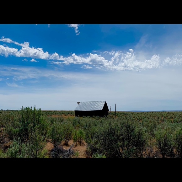 Sharing Oregon 🧡 - Picture 5 of 16